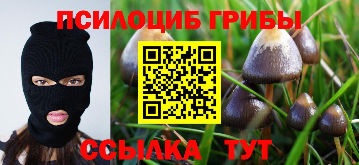 Пушкино  Псилоцибиновые грибы ЛСД  Вход с VPN 